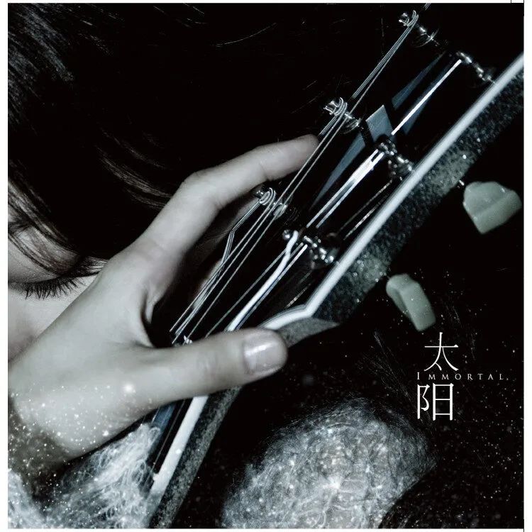 陈绮贞live合集,陈绮贞重回旧地开唱