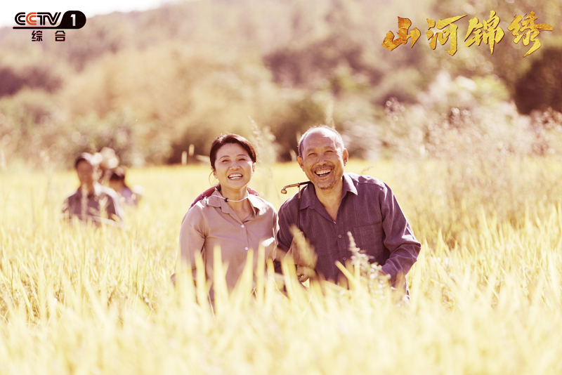 山河锦绣演员演技好,山河锦绣演员表现