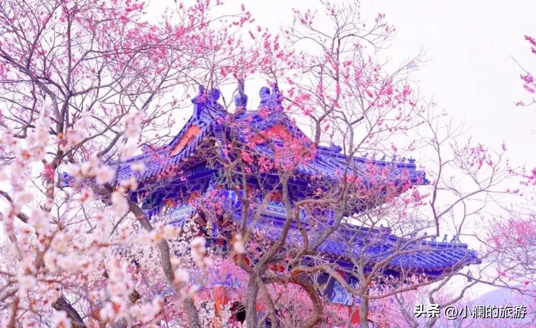 江苏赏梅胜地,江浙沪赏梅小众