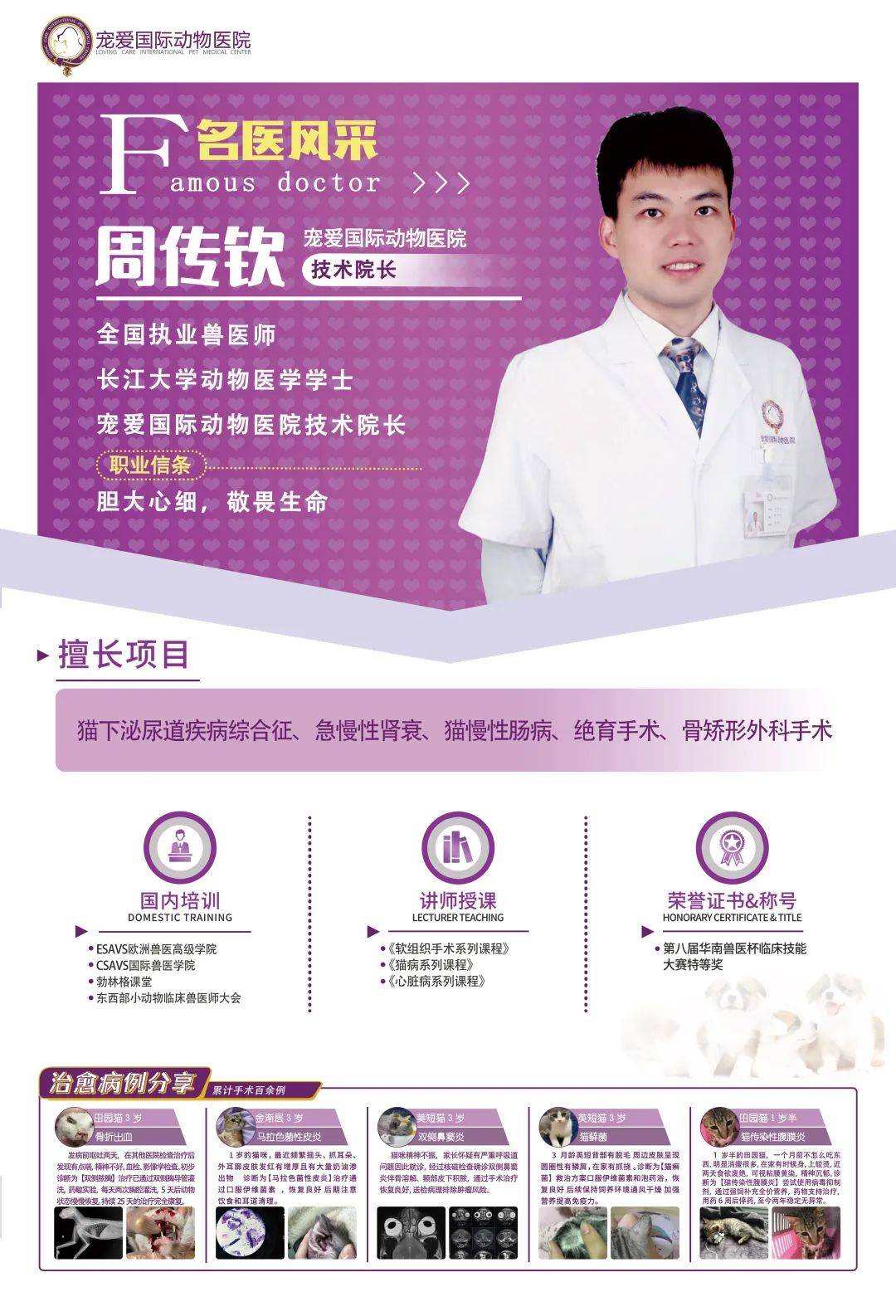 铲屎官有哪些难题,猫咪尿路感染缓解猫咪的小妙招