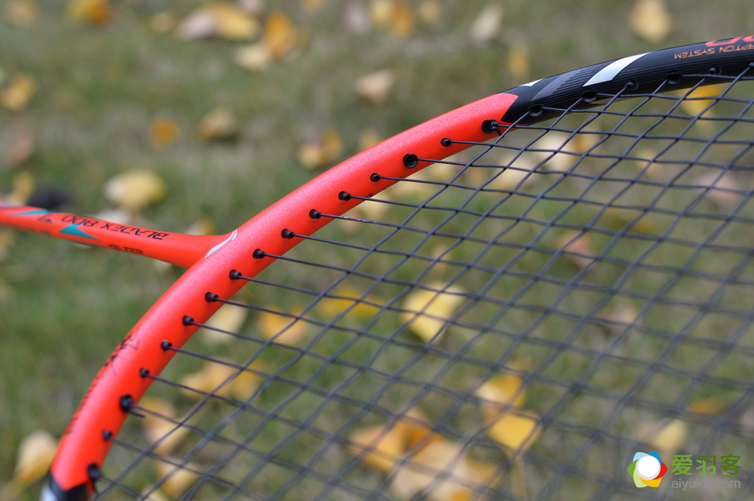 配置最高的乒乓球拍,配置高的球拍