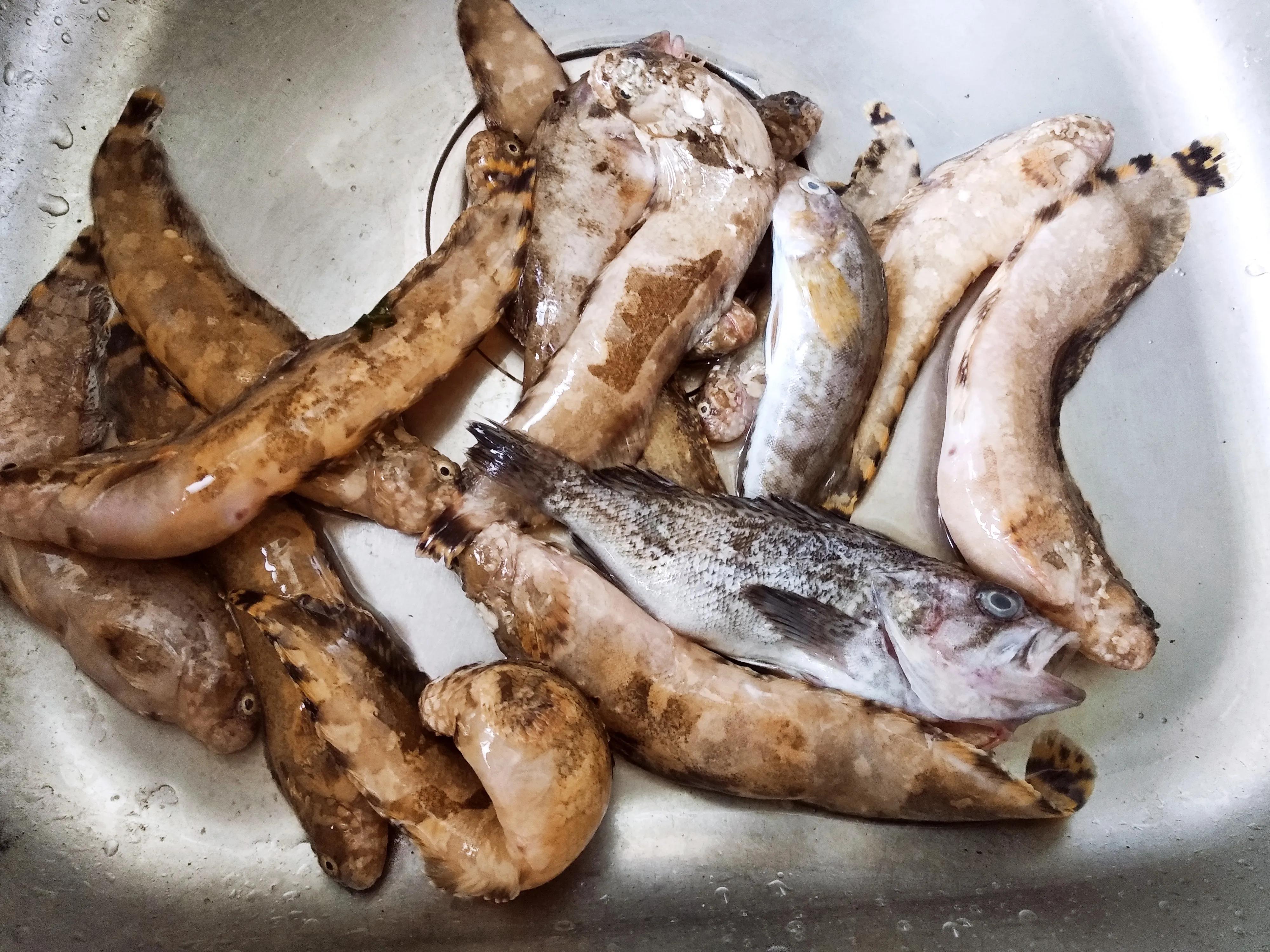 30种最常吃的海鱼图片大全,比较常见可以吃的海鱼