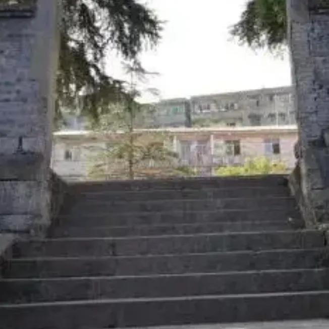 重庆綦江郭扶高庙视频,重庆綦江郭扶抬龙杠视频