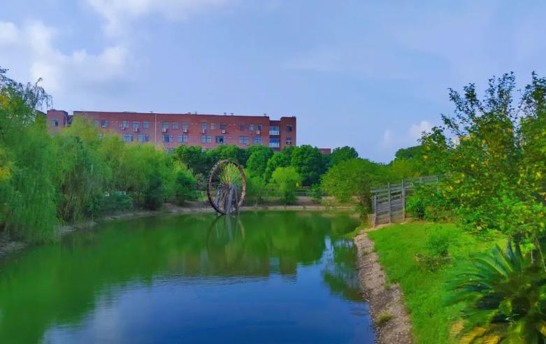 报考分数低好就业的大学推荐,全国适合中等女生报考的学校