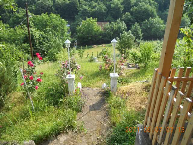 浙江农家女在塞尔维亚十年创业，经历了偷渡打工经商未婚生子