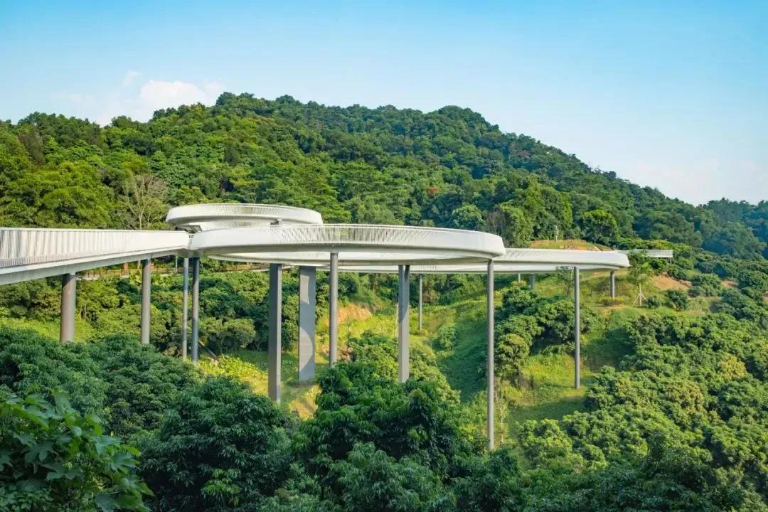 深圳免费儿童好玩的景点排名,深圳景点有哪些好玩的地方免费