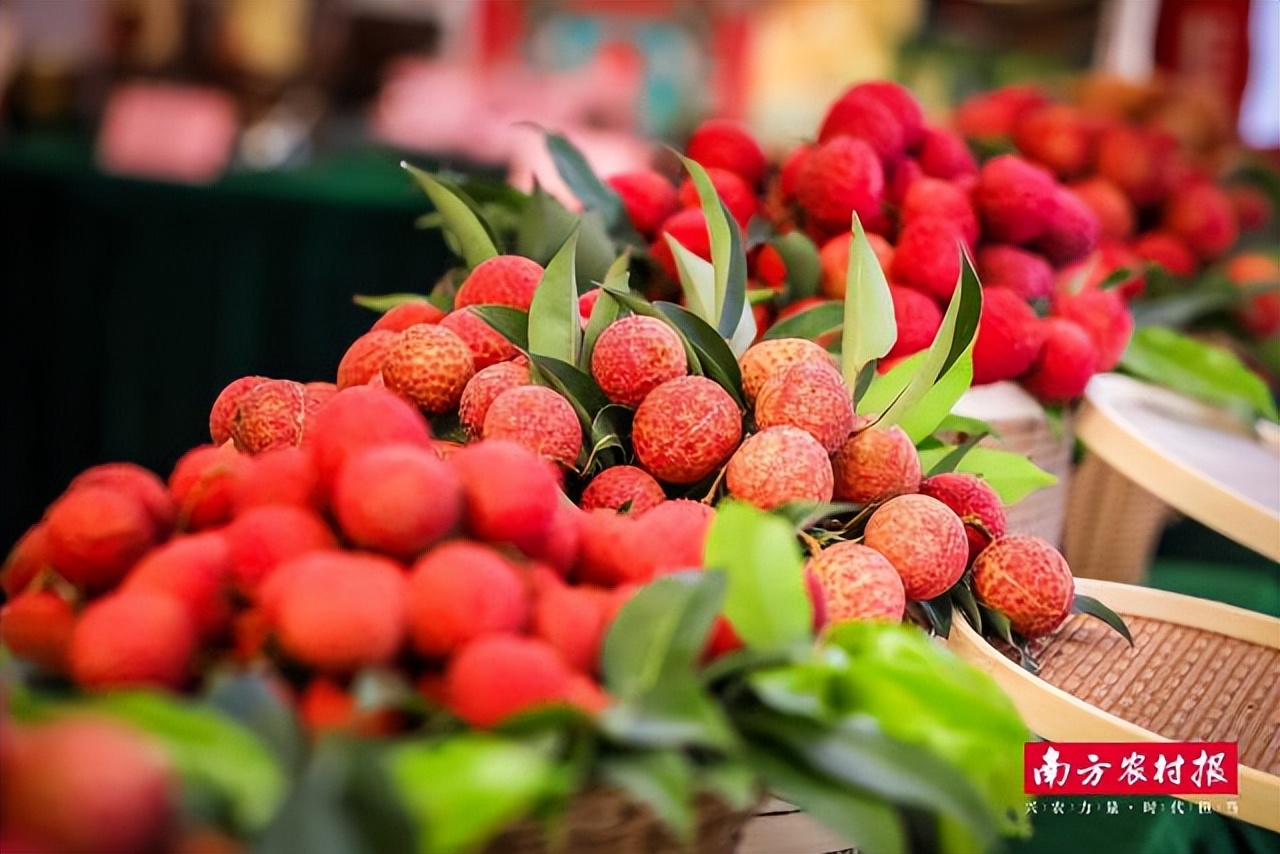 涔℃潙鎸叴浠庡寲鑽旀灊,宀崡鑽旀灊涔℃潙鎸叴