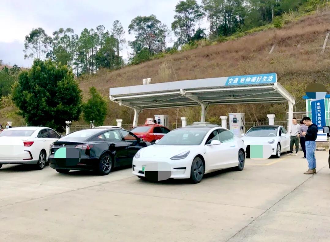 听了车主的肺腑之言，我终于知道为什么你们都跑去买电动车了！