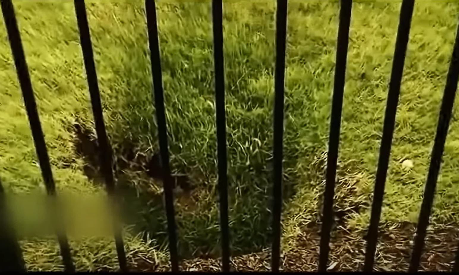 美国黄石公园超级火山,美国黄石公园超级火山2016