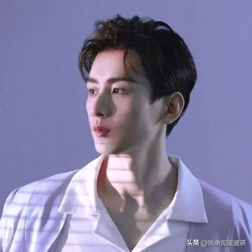 可爱的猫咪头像和小狗头像,团子头像可爱微信头像