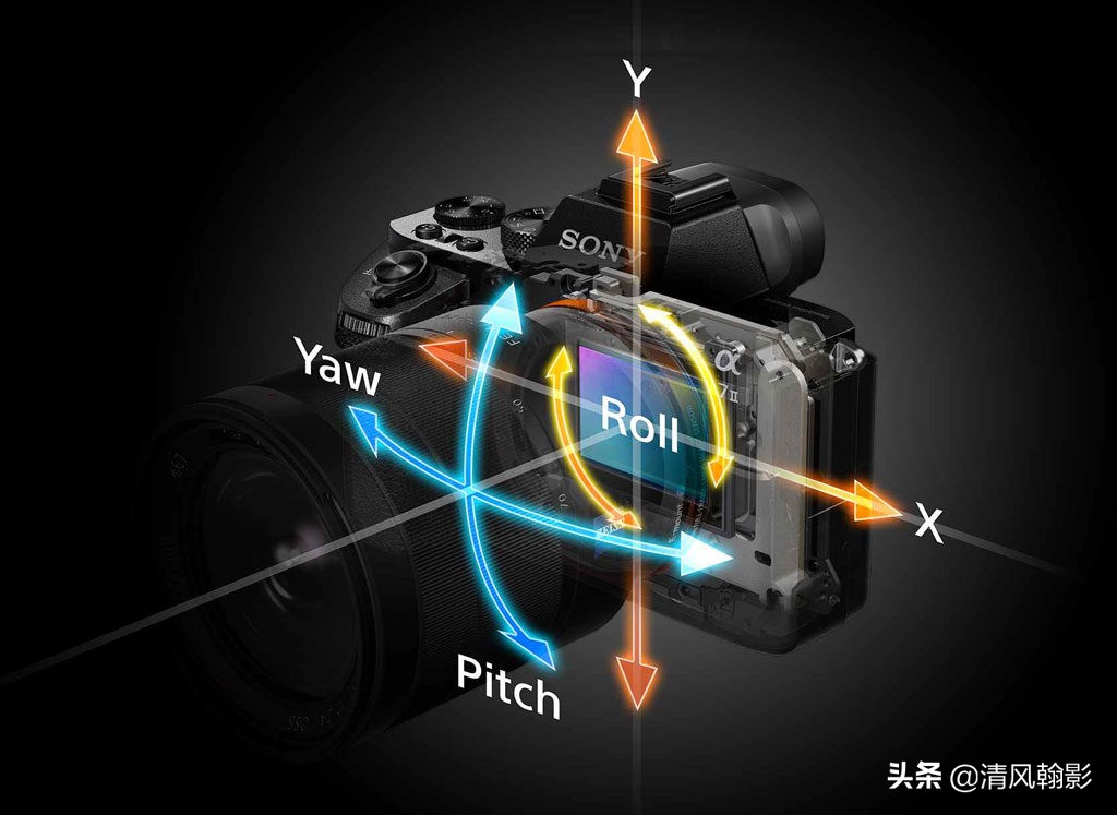 拍鸟什么微单相机合适,索尼a7r4深度拍摄感受