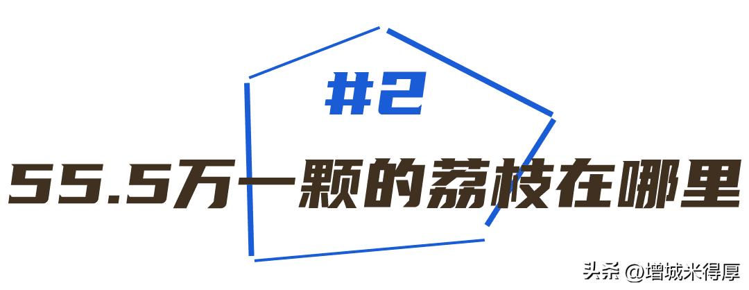 增城有什么自然风光和特产,增城著名的特色文化有哪些