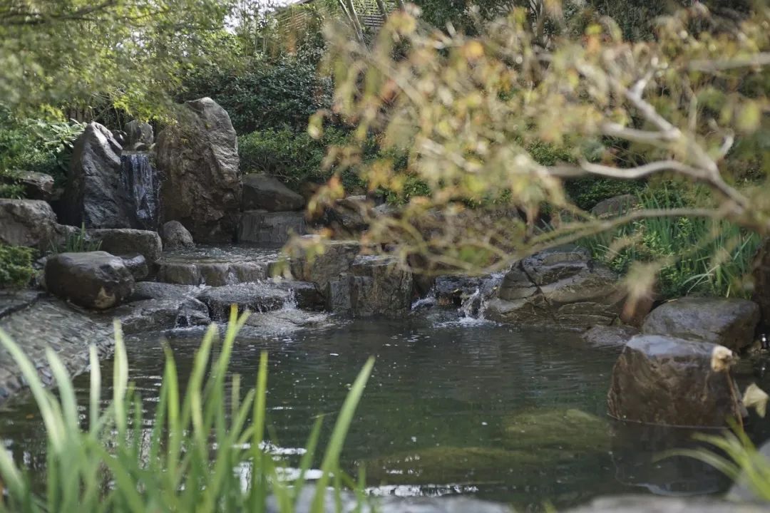 自然跌水景观,水幕瀑布跌水景观效果图