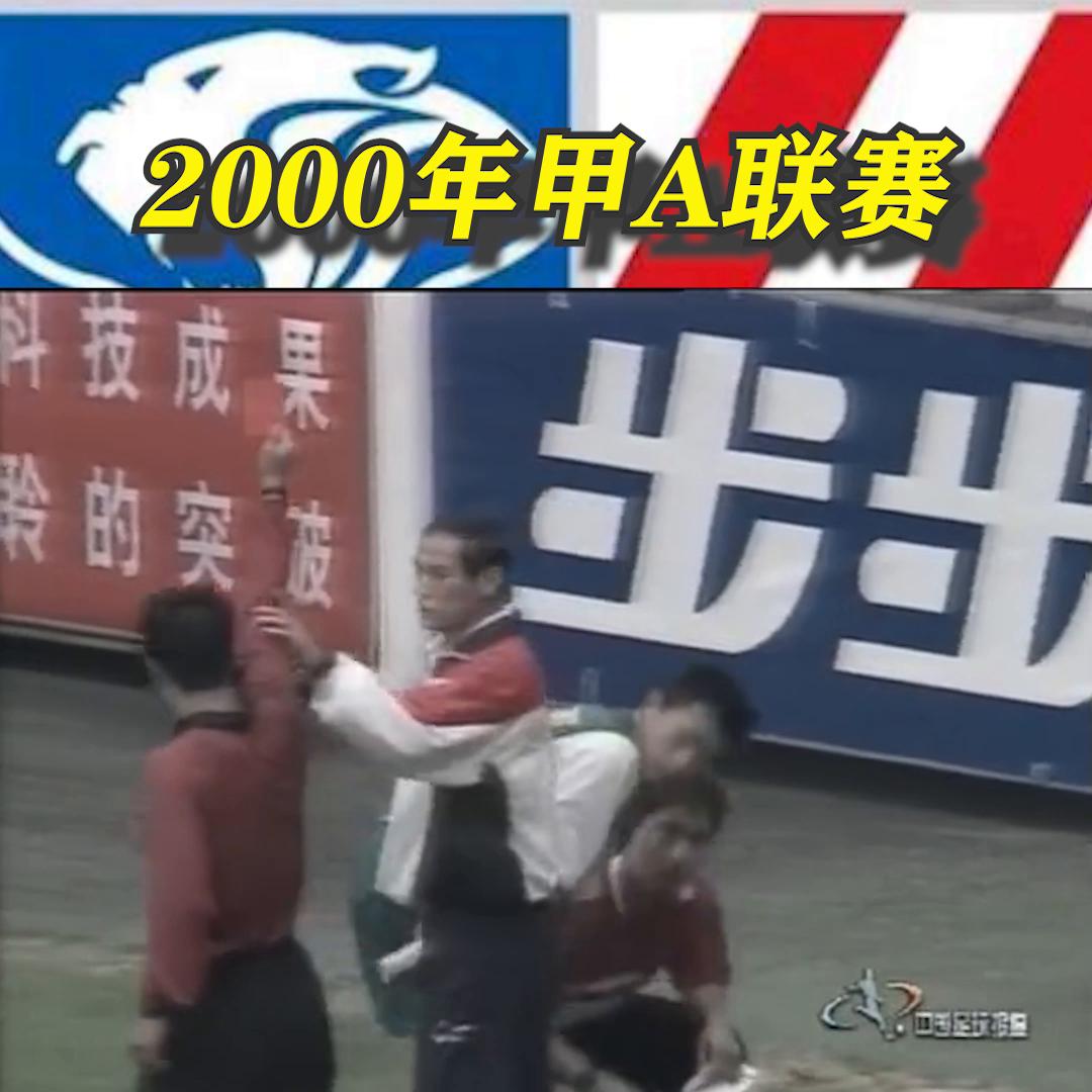 2001赛季甲a联赛申花3:1国安,陕西国力vs上海申花