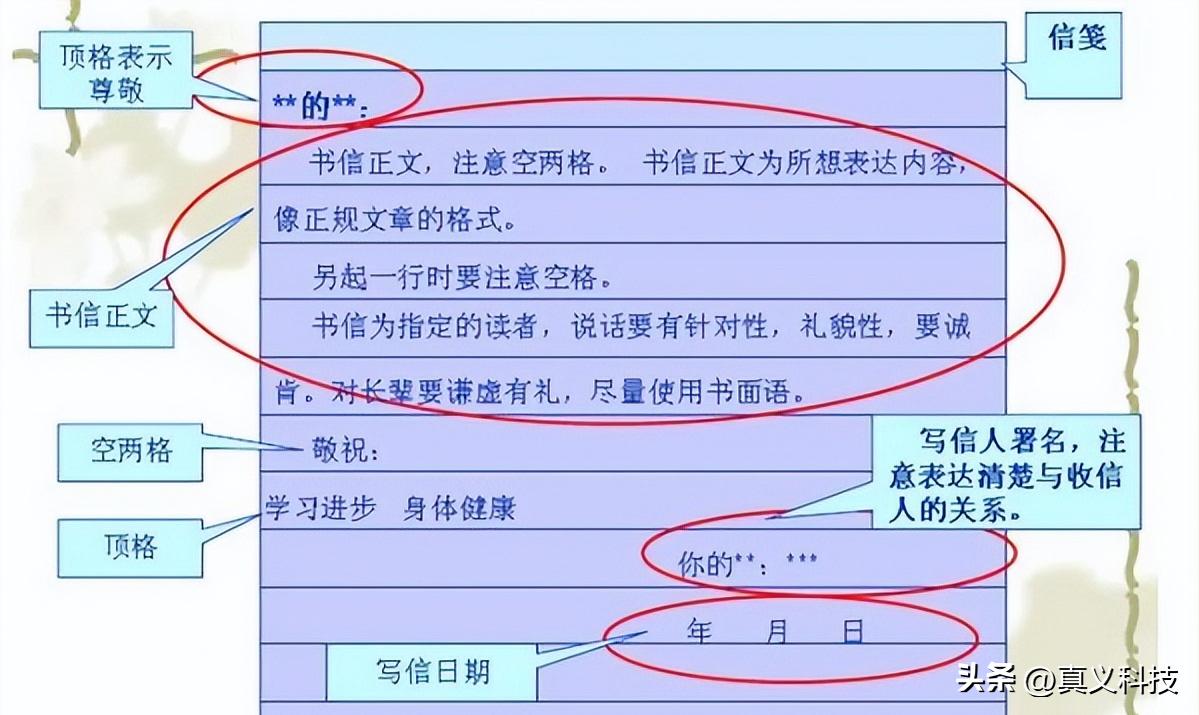锤子历代手机讲解,锤子手机的发展史回顾