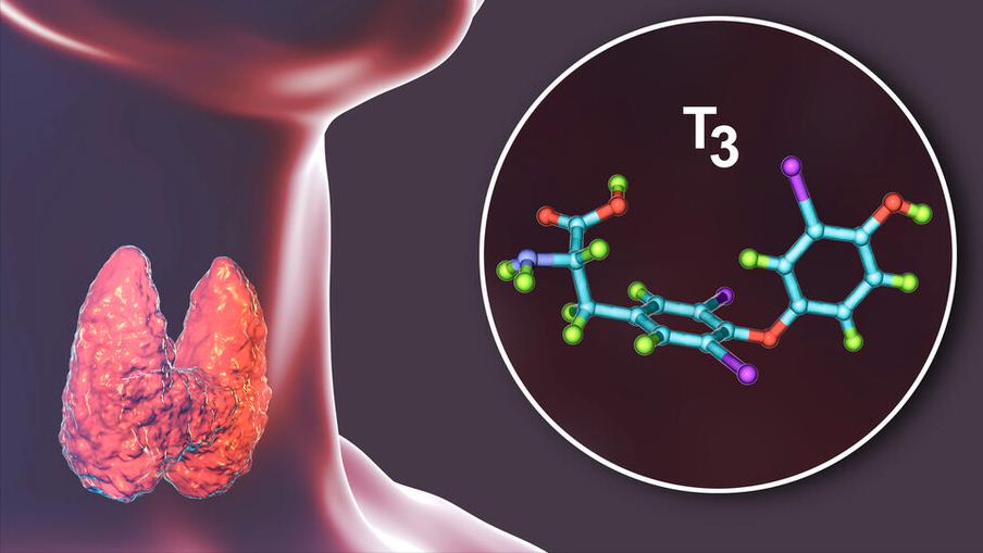 硒对心脏的好处专家讲解,含有硒的对心脏好的食物