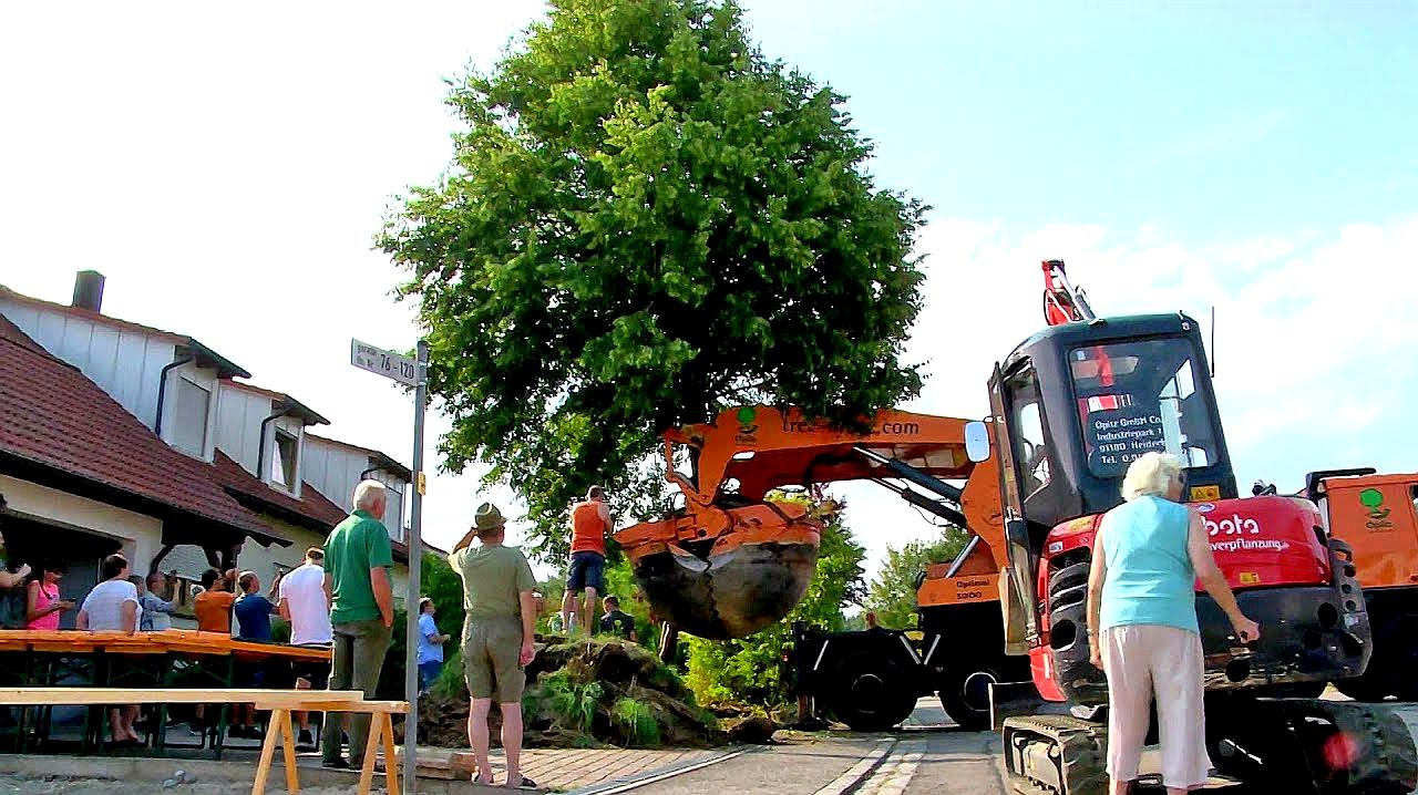 移树机的使用,移树机怎么使用