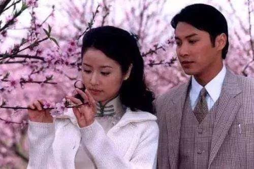 林心如辛酸史真实原因,林心如20年变化