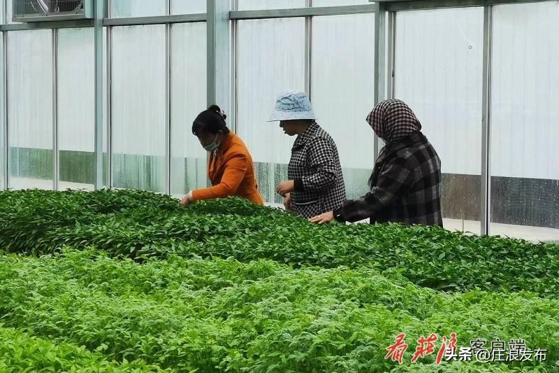 庄浪重大项目,庄浪县重大项目建设