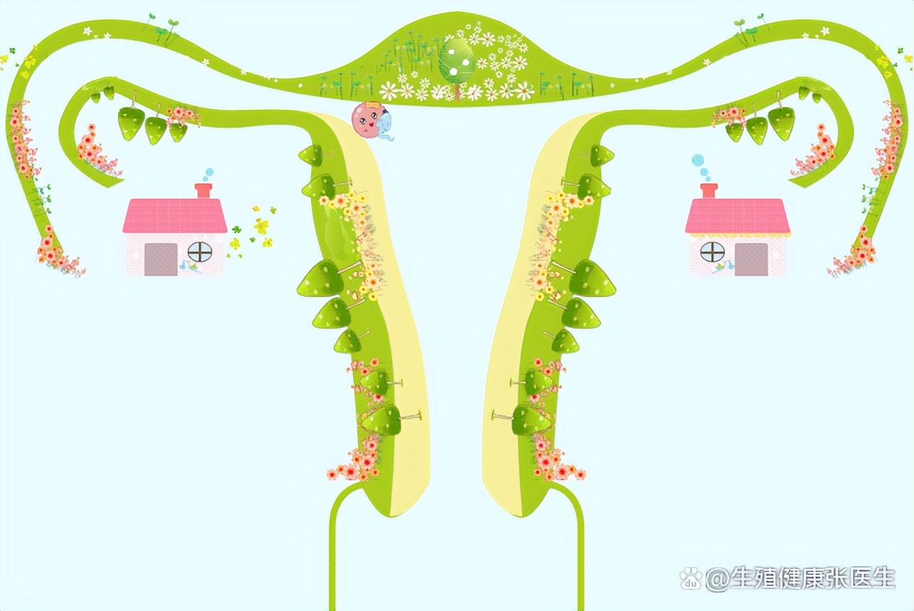 b超能检查子宫内膜厚薄吗,未怀孕检查子宫内膜薄怎么回事