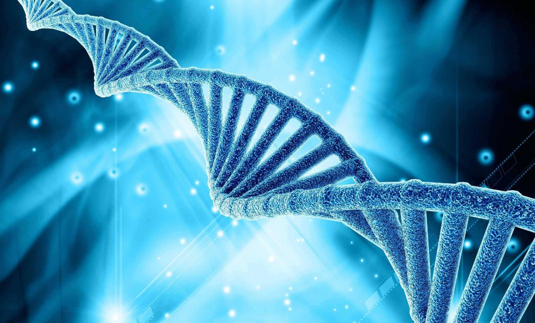 隐私部位的毛发变白，意味着体内有疾病吗？能不能刮掉？