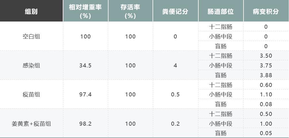 如何防治球虫不再复发,防治球虫药