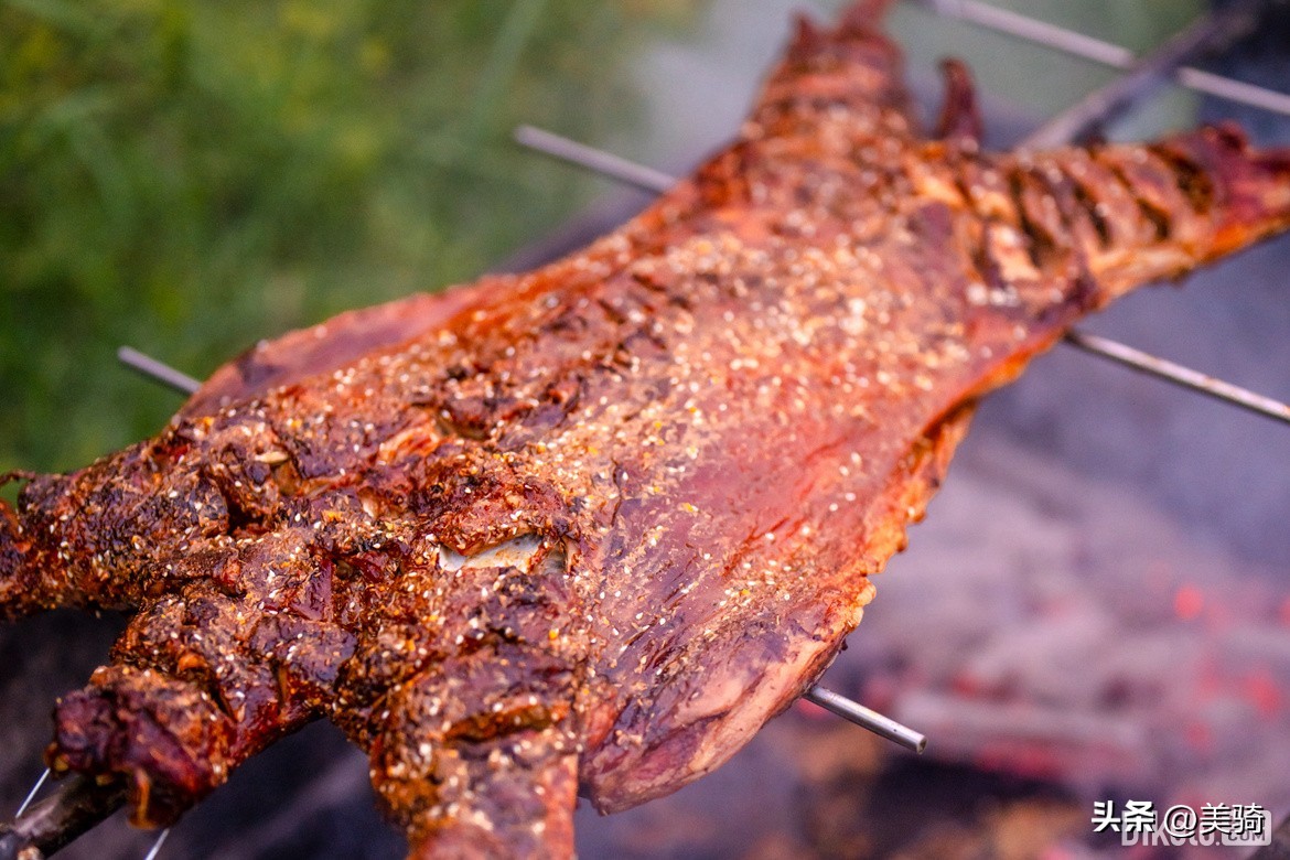 迪卡侬新款公路车发布会,迪卡侬公路车测评