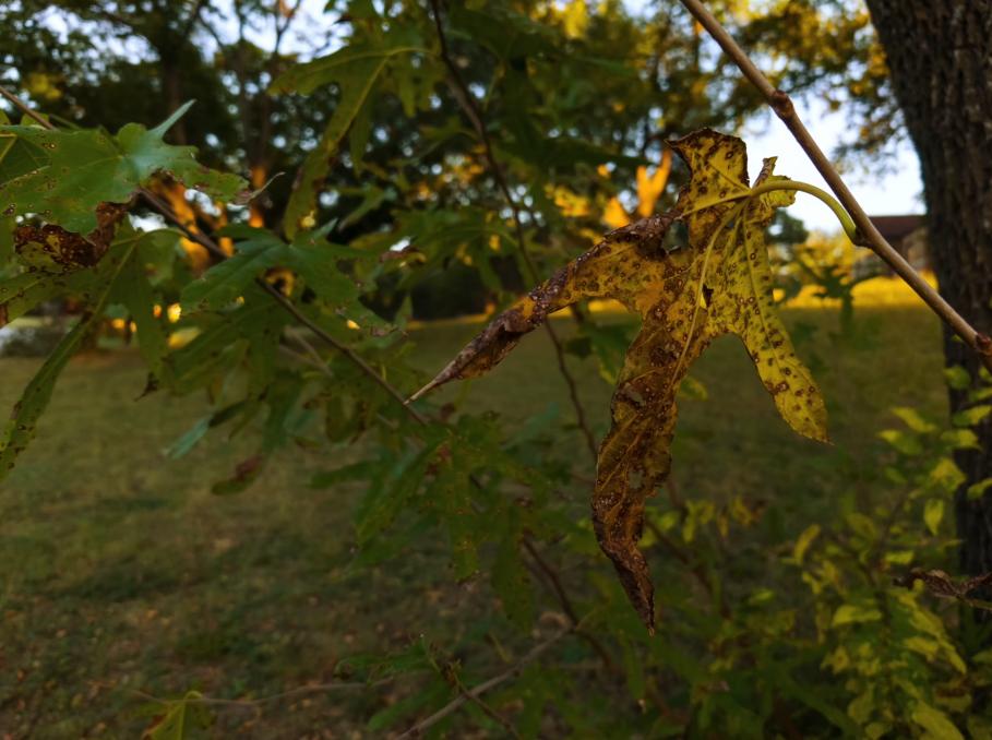 索尼xperiapro-i使用体验,索尼xperiapro-i使用感受