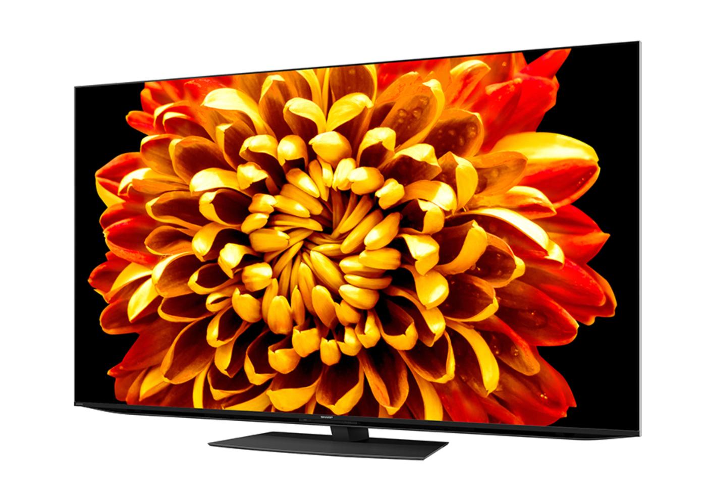 夏普aquos电视老款2010款,夏普电视最新旗舰版