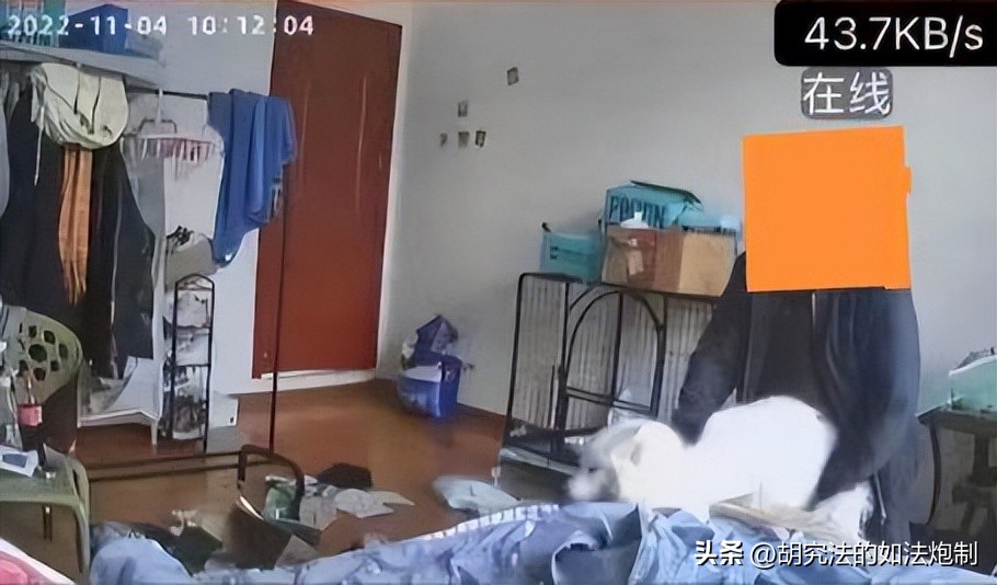 男房东偷进女租客房间新闻,男房东随意进租客卧室可以报警吗