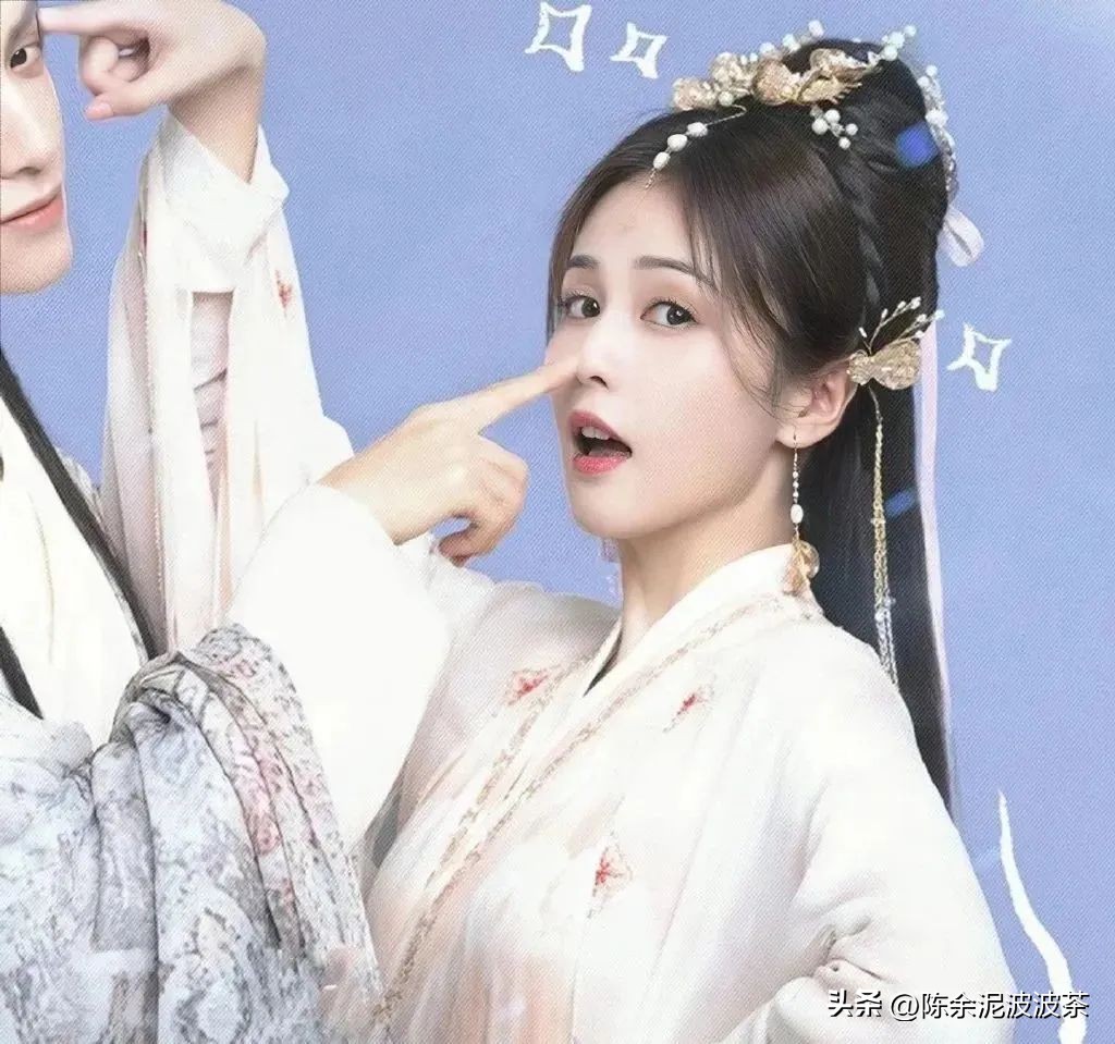 可爱的猫咪头像和小狗头像,团子头像可爱微信头像