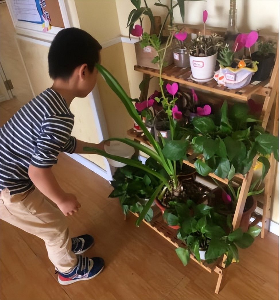 奶奶叮嘱，“花草有三不送，送了变仇人”，过来人的经验