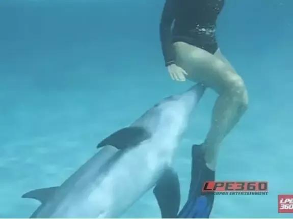 动物交,配时间表,最短0.3秒,最长的竟然是……