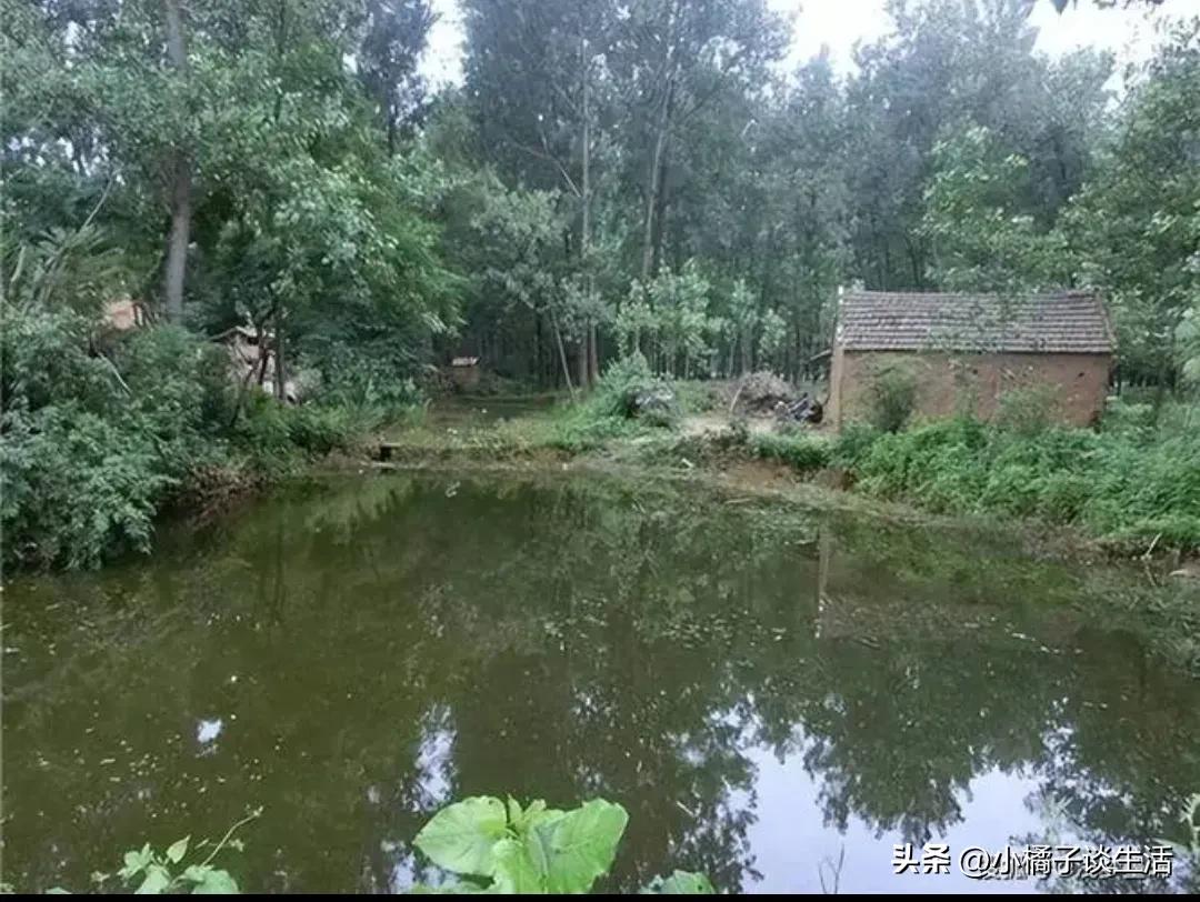 俗语盖房,盖房前后有靠山是什么意思