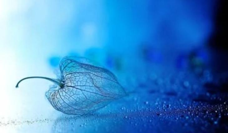 如何远离一个极度自私的人,远离一个极度自私的男人