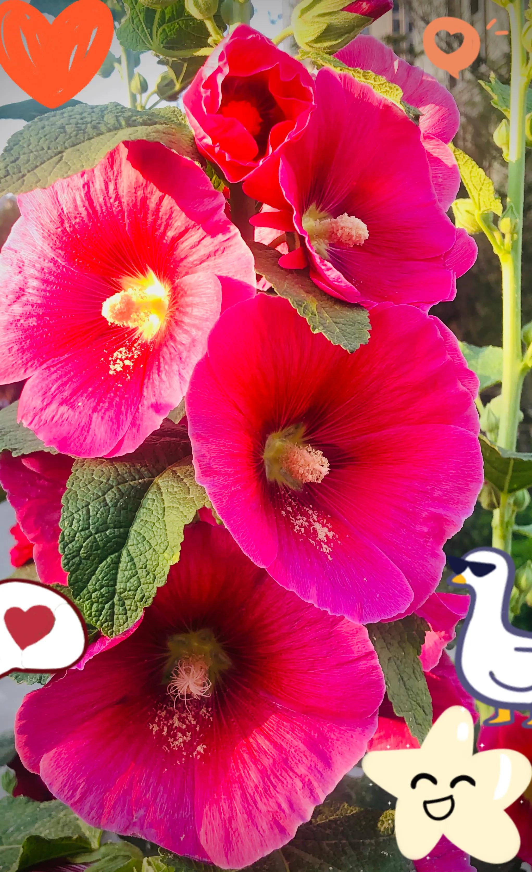 生活的极致就是化繁为简,极简是一种生活态度越简单越精致