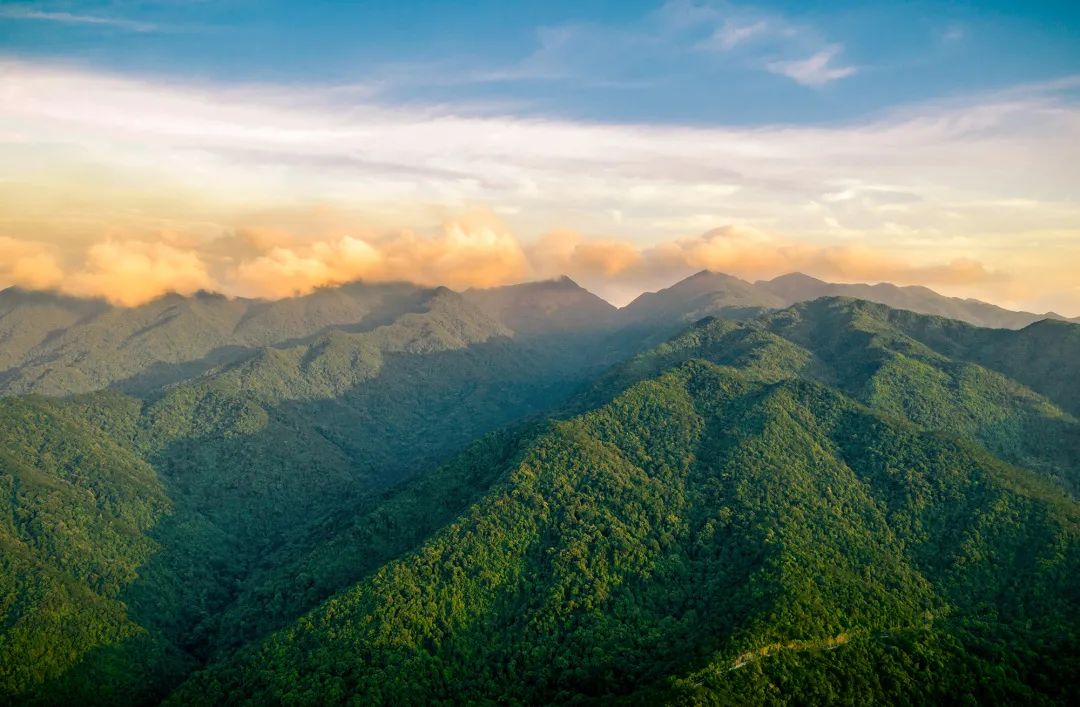 盘点影视的名场面瞬间,都市名场面