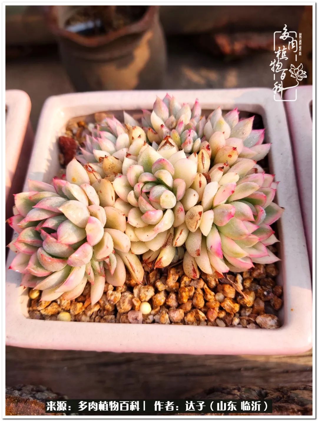 活在当下珍惜眼前平凡的生活,活在当下感慨万千