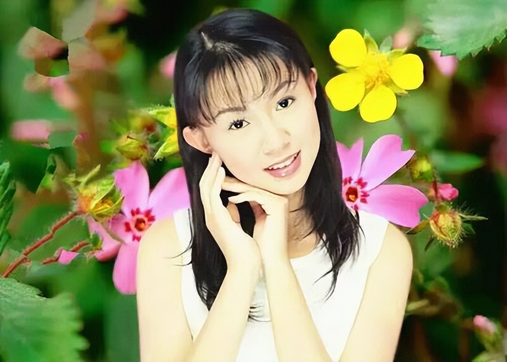 那些被造谣的明星,被造谣的明星网红