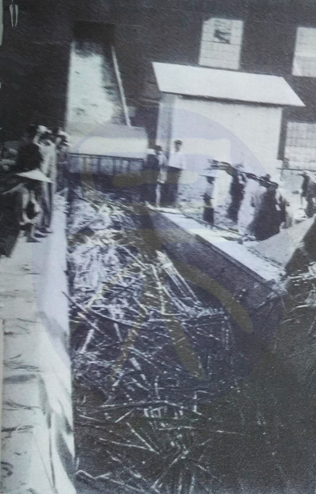 制糖业的历史,赣南制糖厂老照片