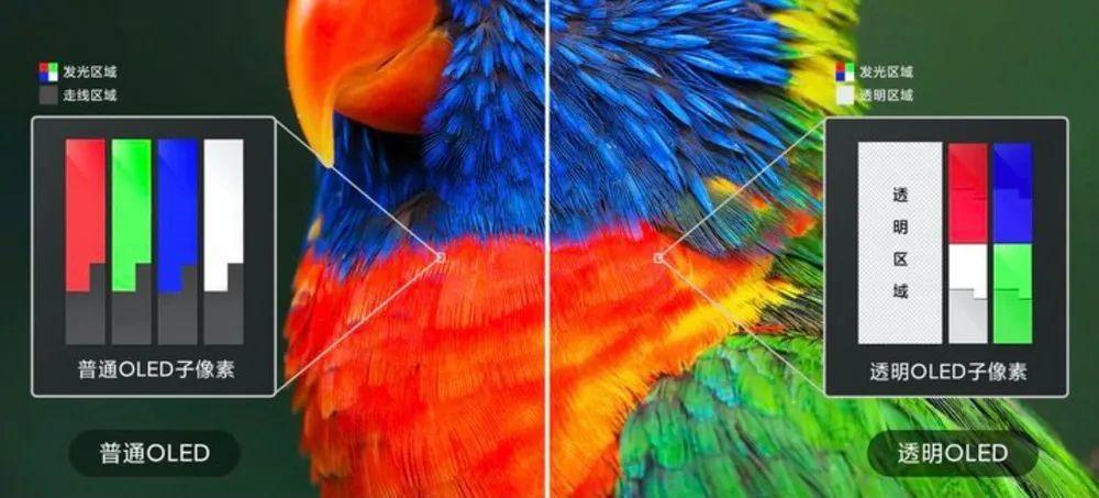 在泳池里掏出透明手机，我的笑容渐渐消失......