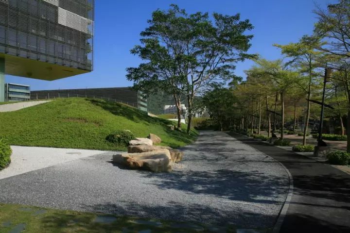 砾石就是普通石子吗,砾石景观石图片