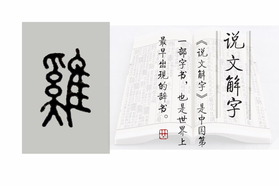 说文解字第61课,说文解字第699课