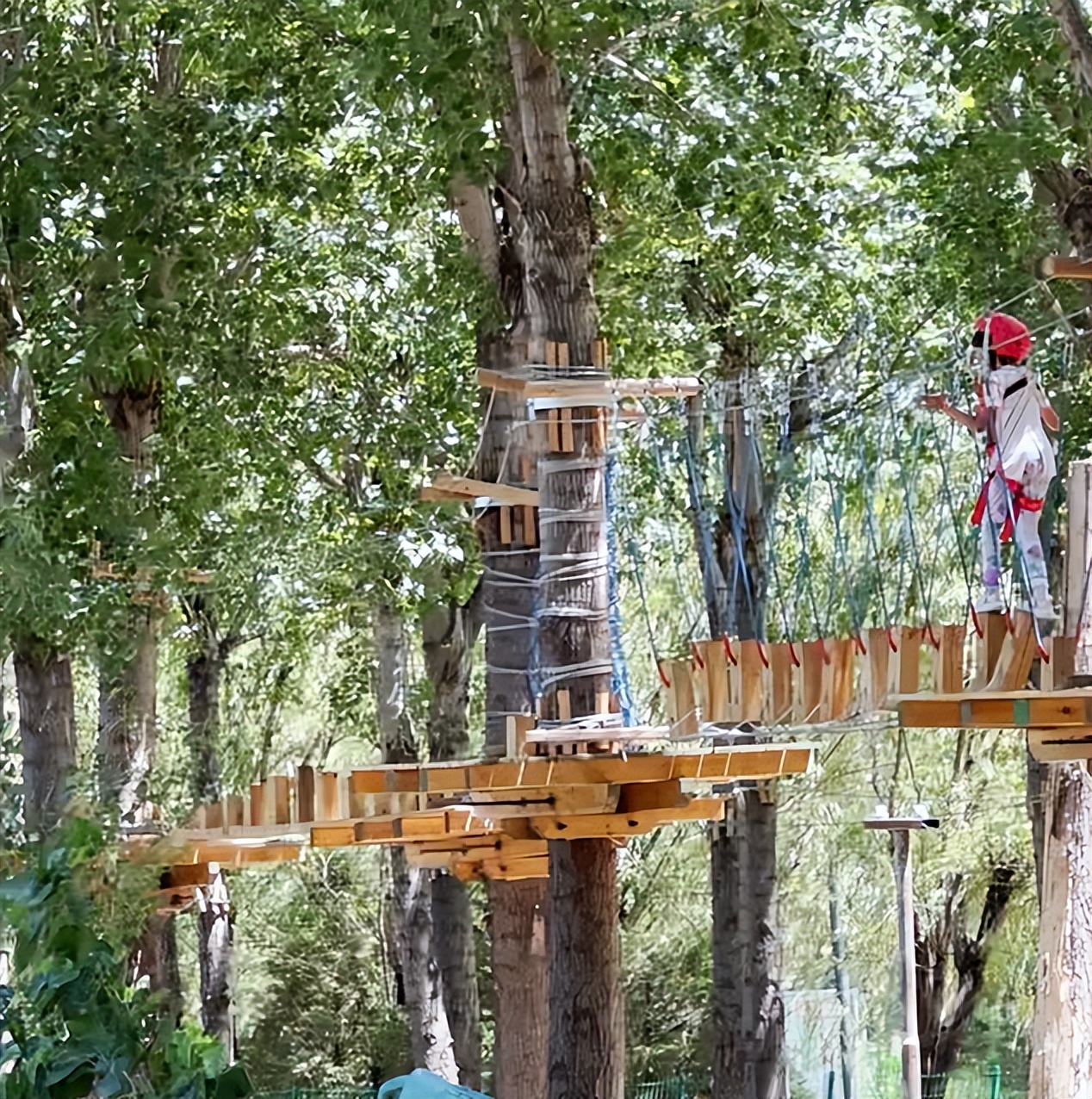 暑期实践日志1500字,暑期夏令营志愿者实践日志