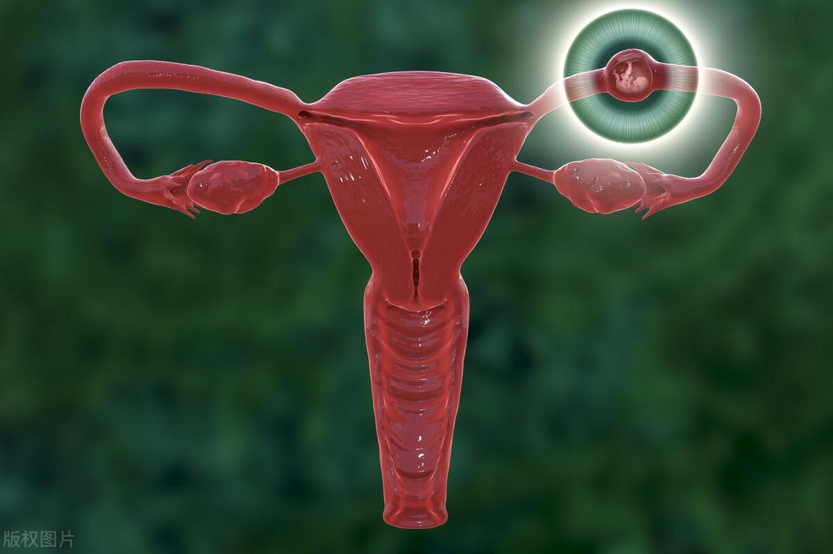 女性切除了子宫还会排卵吗,女性切除子宫以后还能排卵吗