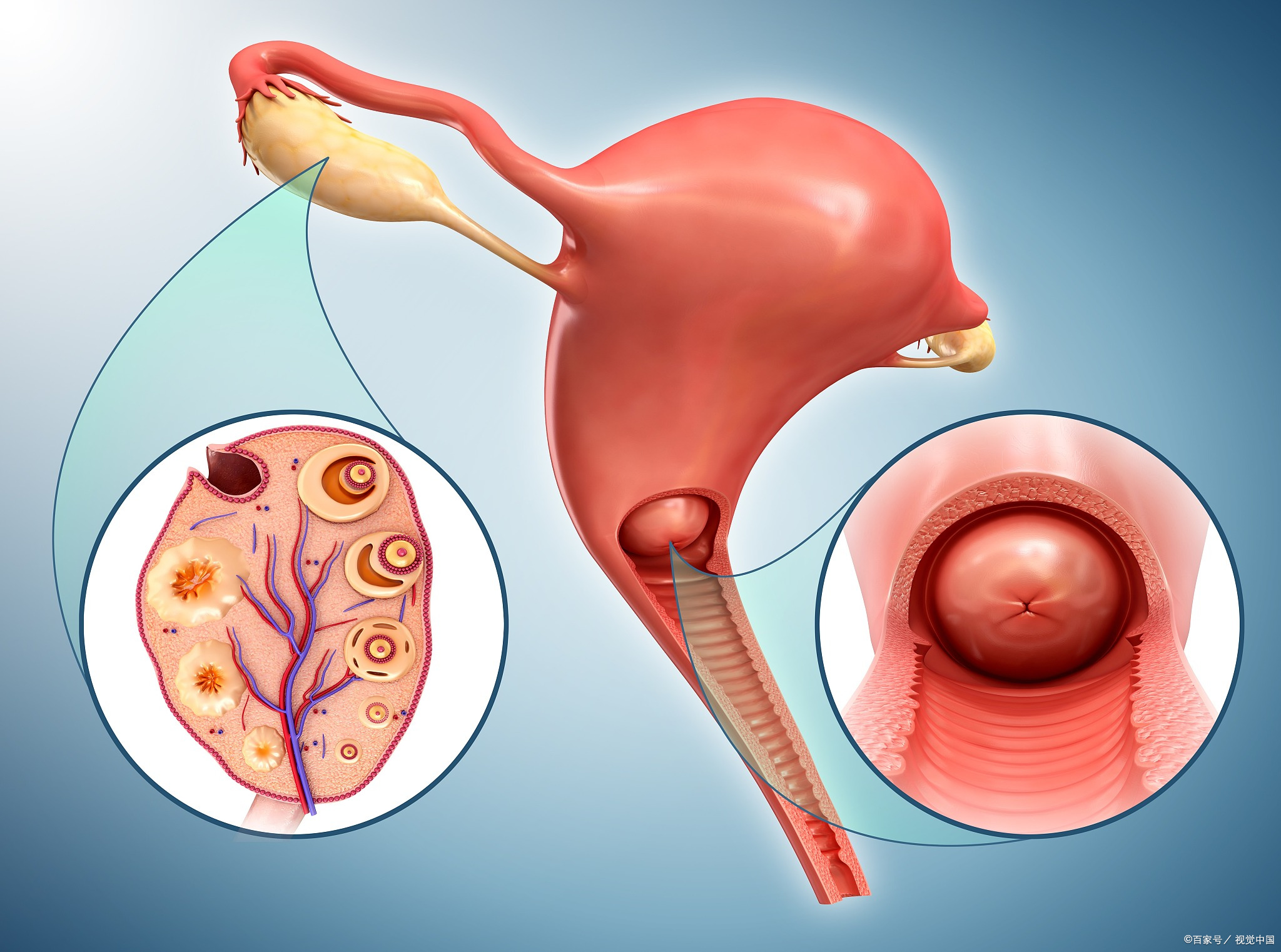 输卵管不通是什么原因引起的？应该如何预防输卵管堵塞？