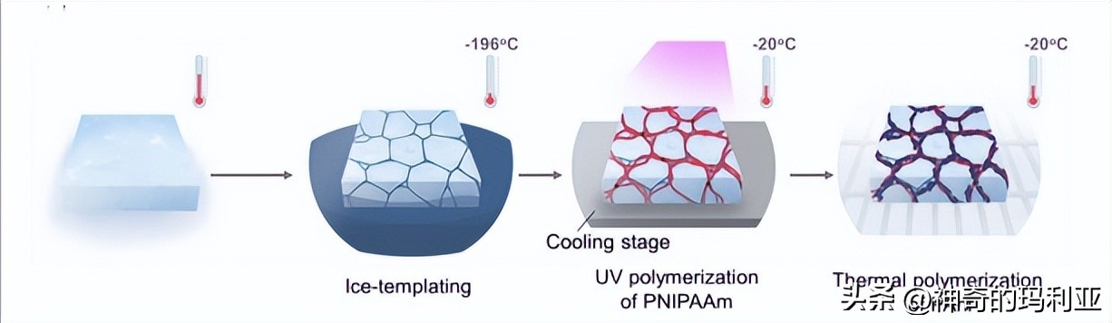 磁性响应水凝胶,光热效应水凝胶