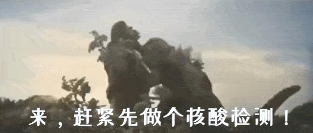 金融圈年终总结表情包,2023金融圈年终总结表情包版