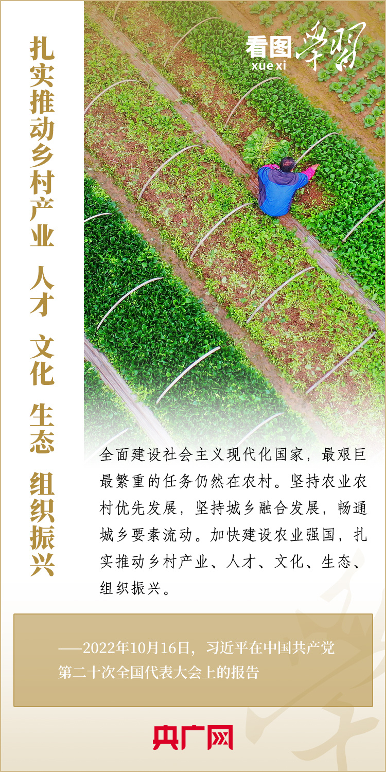 建设农业强国的必由之路,是新时代建设农业强国的重要任务