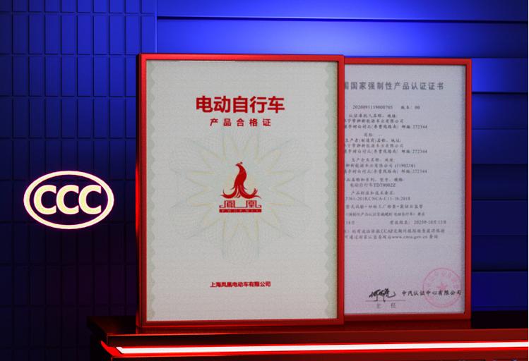 续航300公里的电动车大概多少钱,电动车推荐2000元3000元续航长